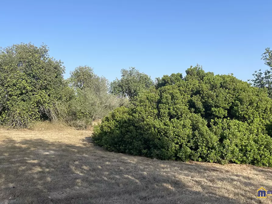 Immagine 8 di Terreno in vendita  a Noto