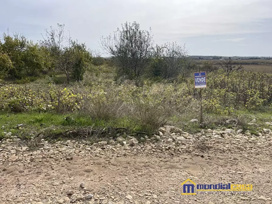 Immagine 4 di Terreno in vendita  a Noto