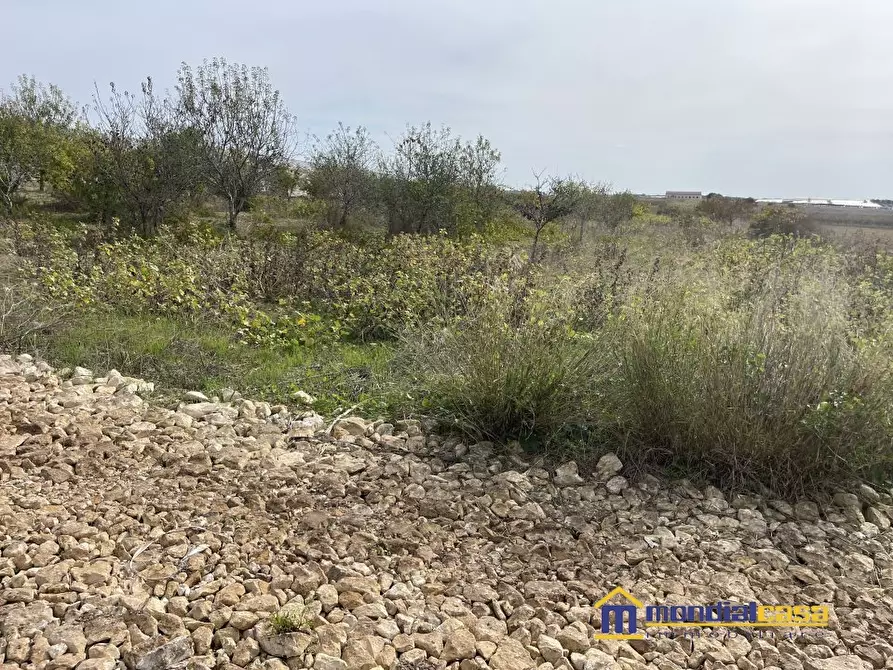 Immagine 2 di Terreno in vendita  a Noto