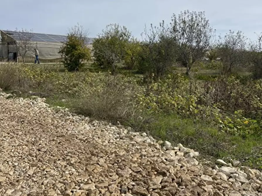 Immagine 5 di Terreno in vendita  a Noto
