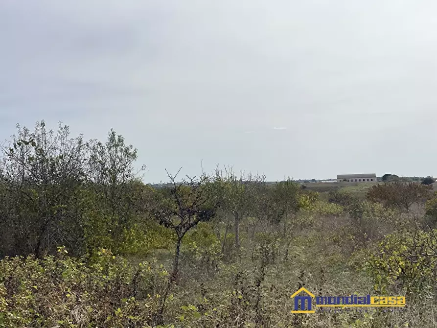 Immagine 3 di Terreno in vendita  a Noto