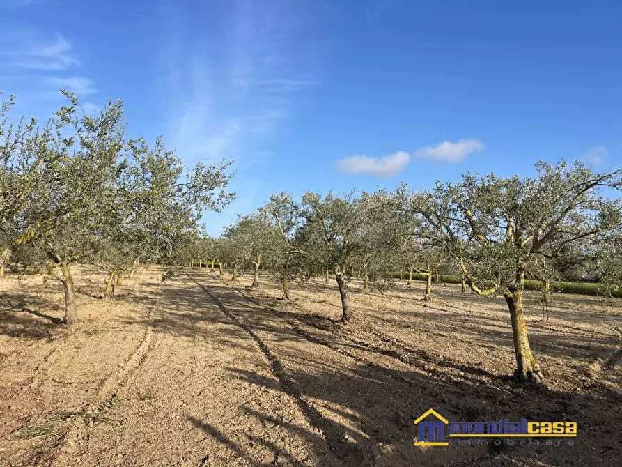 Immagine 7 di Terreno in vendita  a Noto