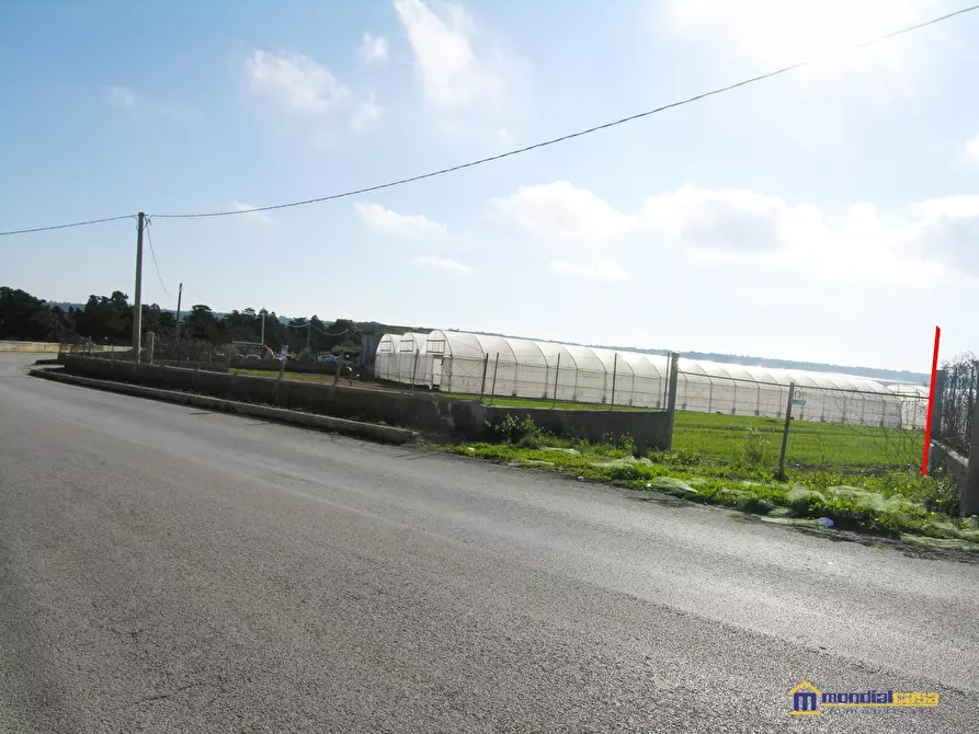 Immagine 4 di Terreno in vendita  a Pachino