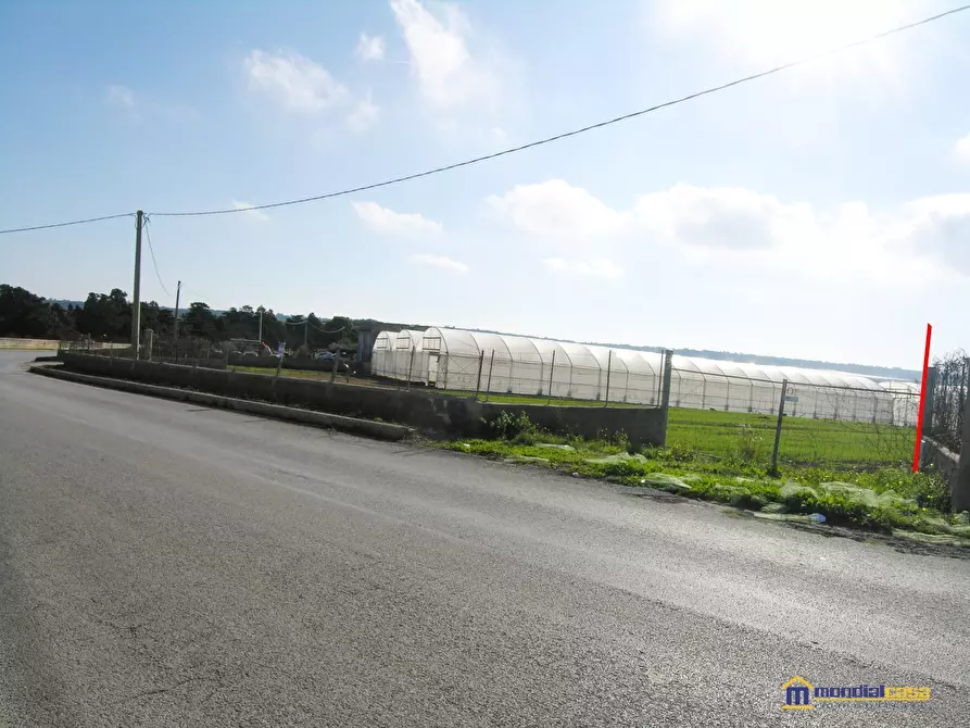 Immagine 2 di Terreno in vendita  a Pachino