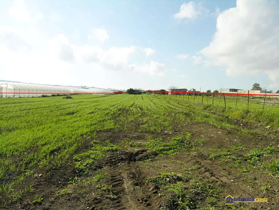 Immagine 4 di Terreno in vendita  a Pachino