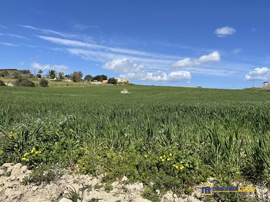 Immagine 3 di Terreno in vendita  a Pachino