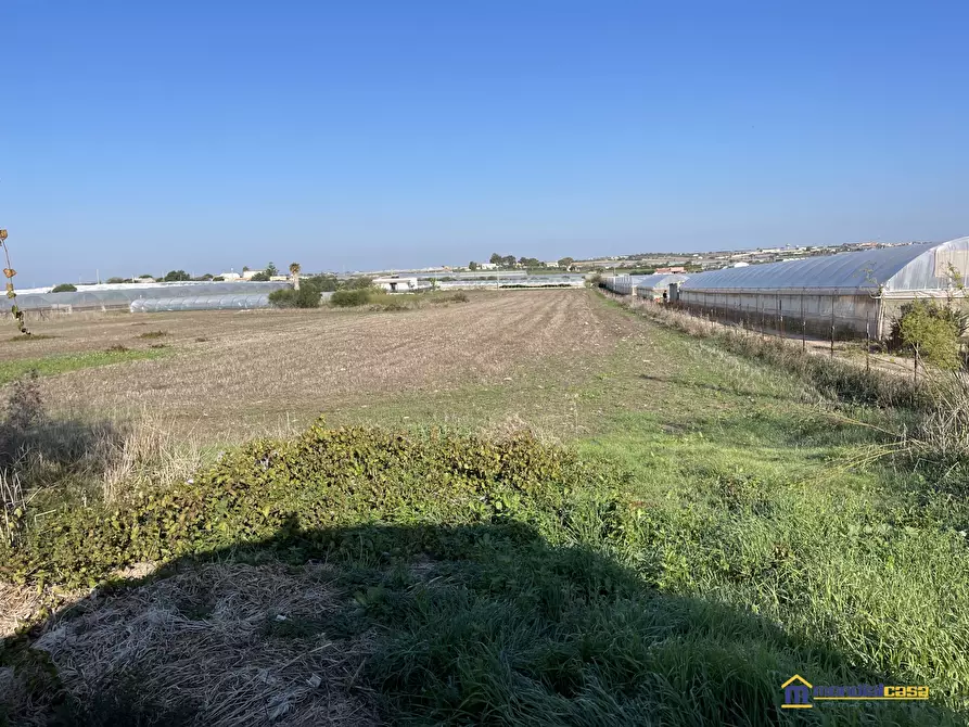 Immagine 2 di Terreno in vendita  a Pachino