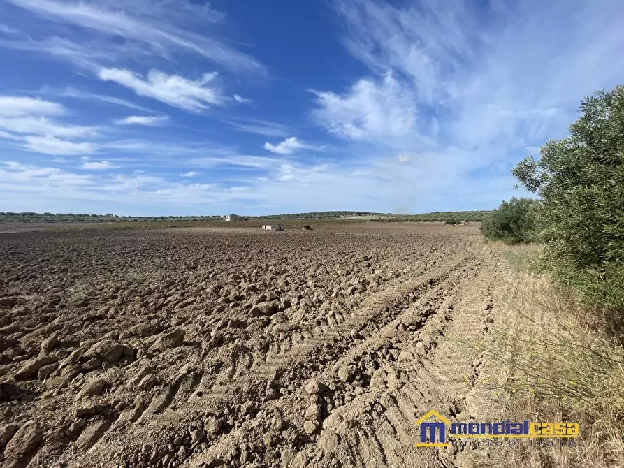 Immagine 5 di Terreno in vendita  a Noto