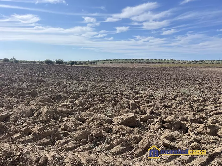 Immagine 3 di Terreno in vendita  a Noto
