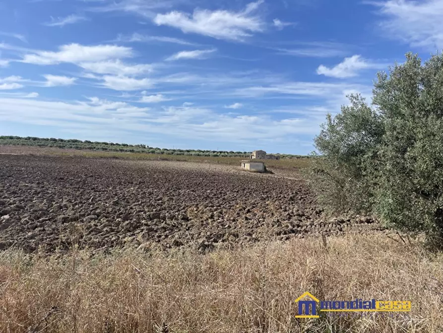 Immagine 4 di Terreno in vendita  a Noto