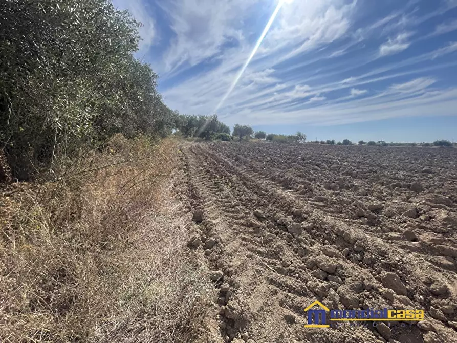Immagine 2 di Terreno in vendita  a Noto