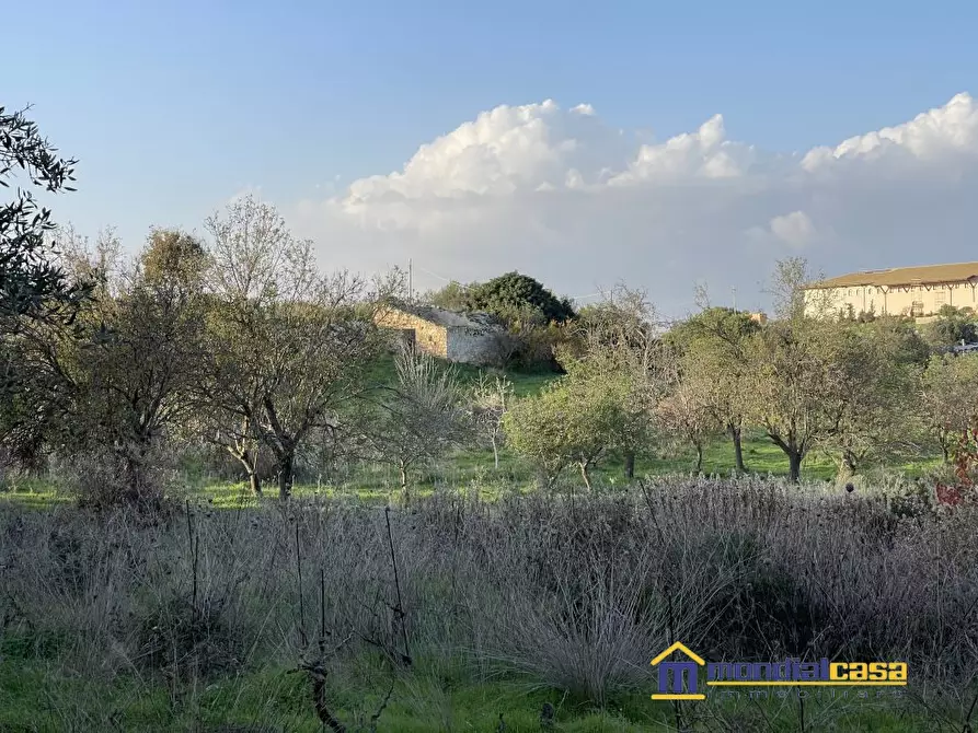 Immagine 5 di Terreno in vendita  a Noto