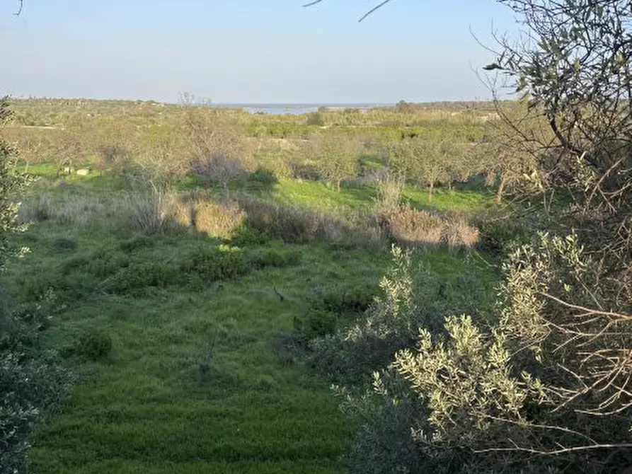 Immagine 7 di Terreno in vendita  a Noto