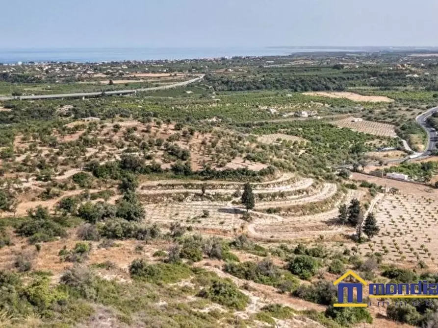 Immagine 2 di Terreno in vendita  a Avola