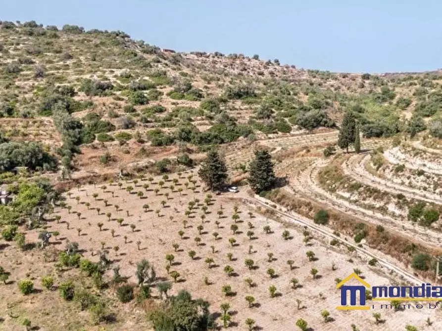 Immagine 1 di Terreno in vendita  a Avola