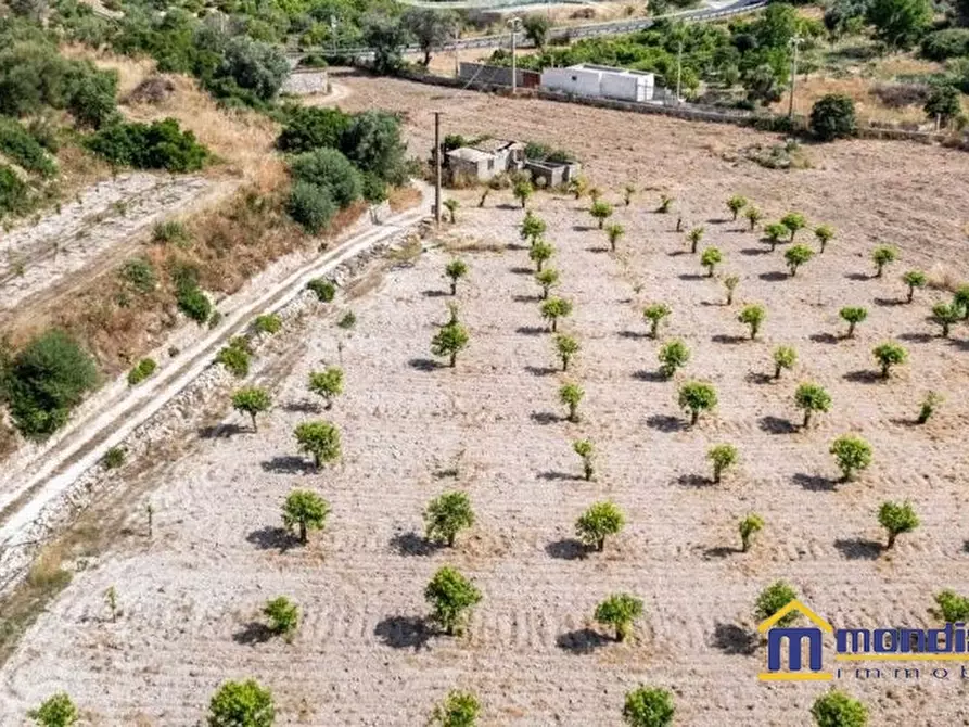 Immagine 3 di Terreno in vendita  a Avola