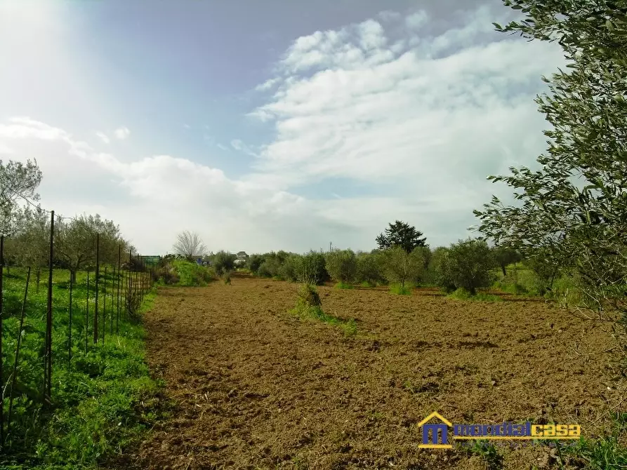 Immagine 3 di Terreno in vendita  a Pachino