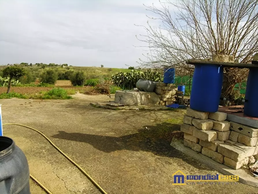 Immagine 5 di Terreno in vendita  a Pachino