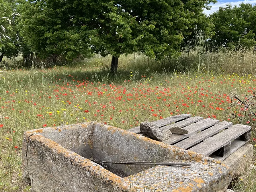 Immagine 2 di Terreno in vendita  a Pachino