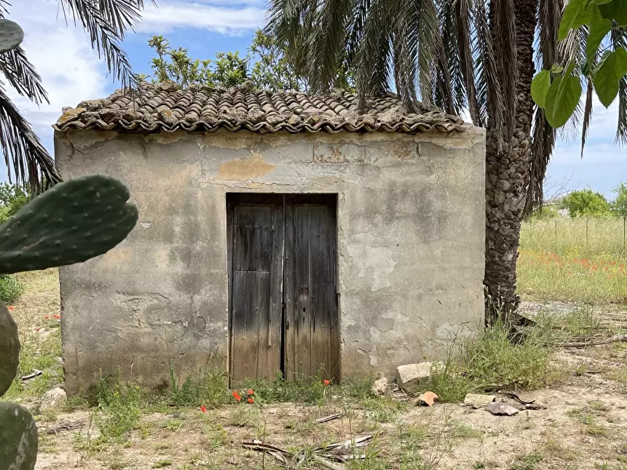 Immagine 3 di Terreno in vendita  a Pachino