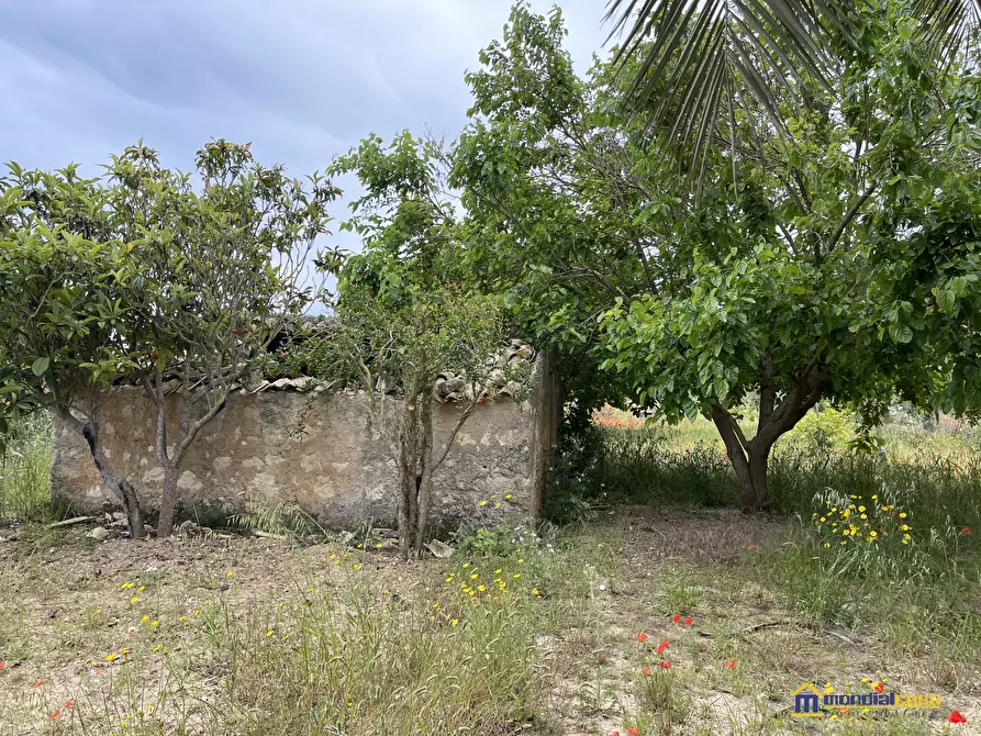 Immagine 4 di Terreno in vendita  a Pachino