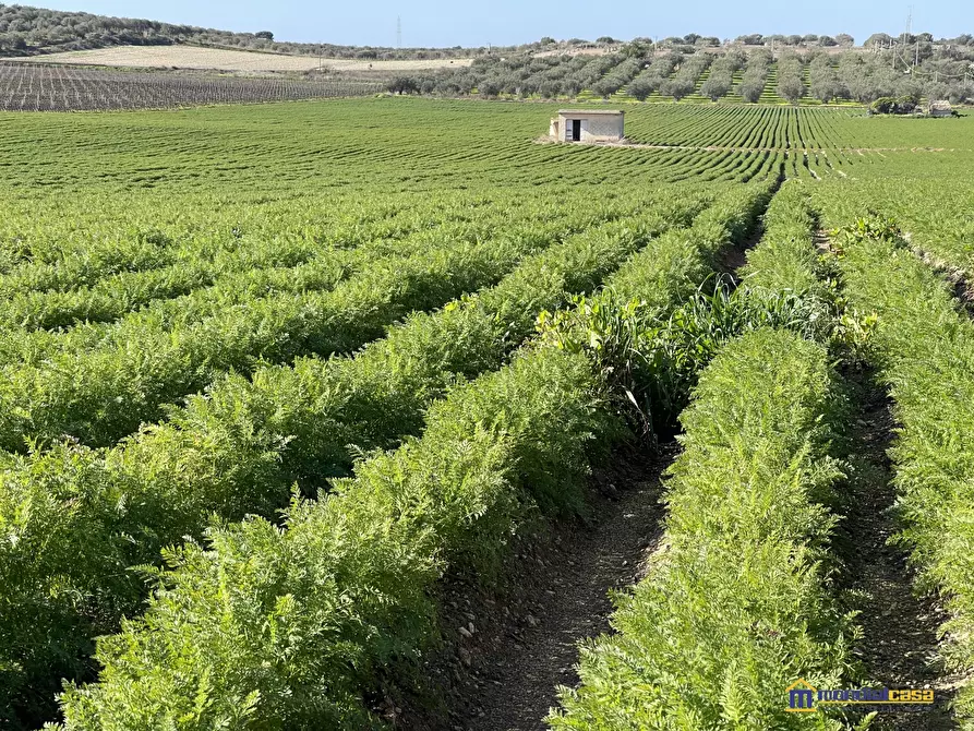 Immagine 1 di Terreno in vendita  a Noto