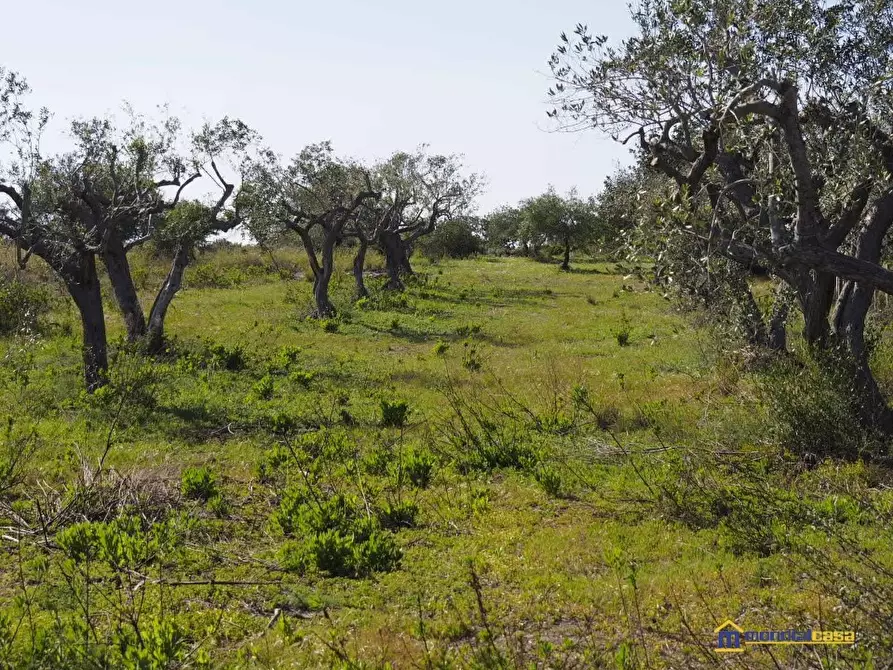 Immagine 10 di Terreno in vendita  a Noto