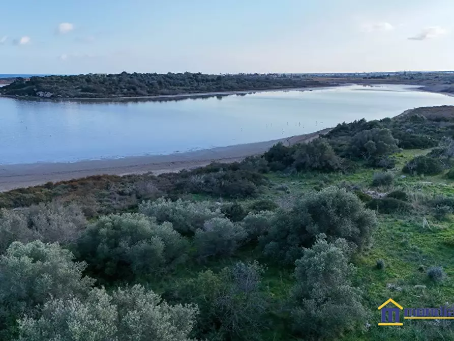 Immagine 2 di Terreno in vendita  a Noto