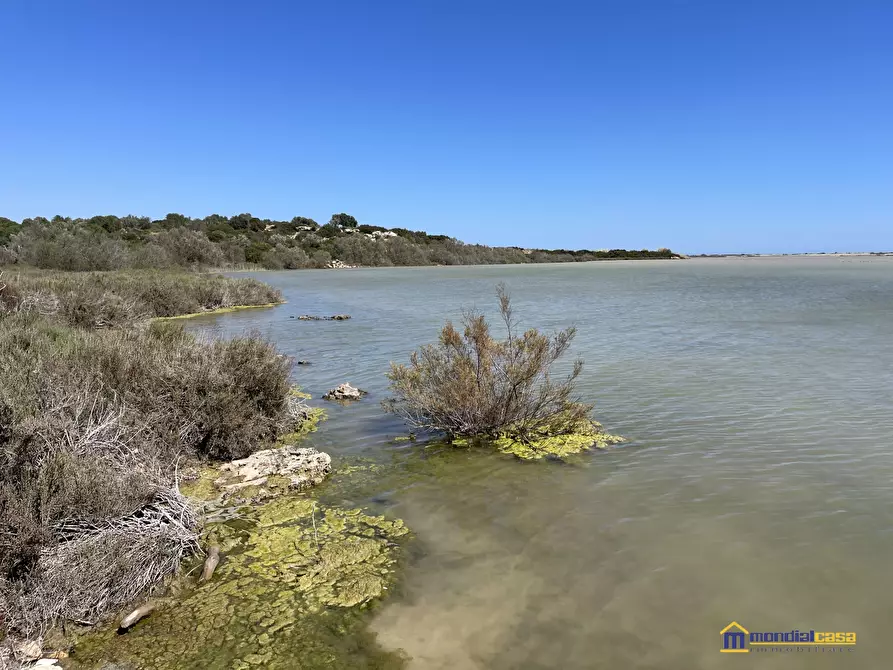 Immagine 4 di Terreno in vendita  a Noto