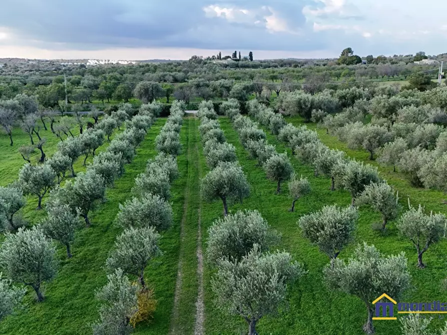 Immagine 6 di Terreno in vendita  a Noto