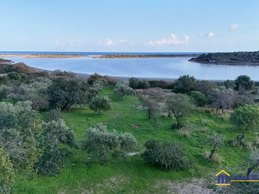 Immagine 1 di Terreno in vendita  a Noto