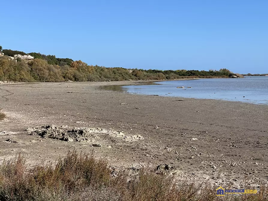 Immagine 5 di Terreno in vendita  a Noto