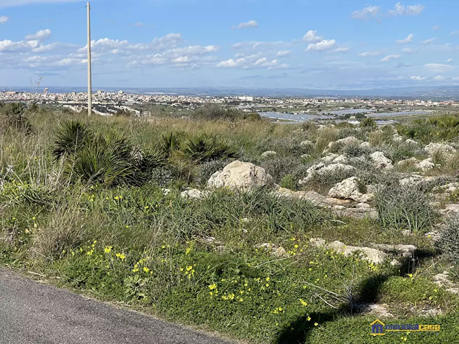 Immagine 4 di Terreno in vendita  a Pachino