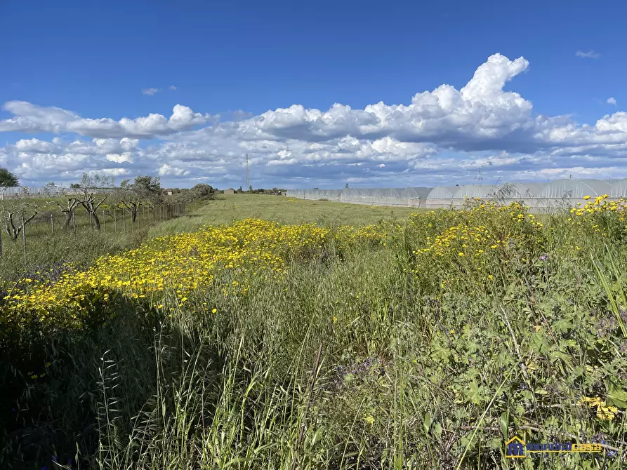 Immagine 2 di Terreno in vendita  a Noto