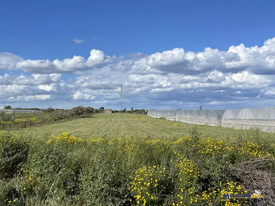 Immagine 3 di Terreno in vendita  a Noto