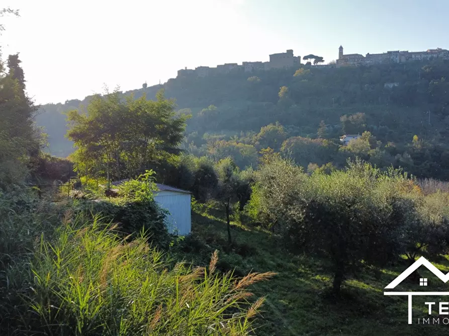 Immagine 1 di Terreno in vendita  a Stimigliano