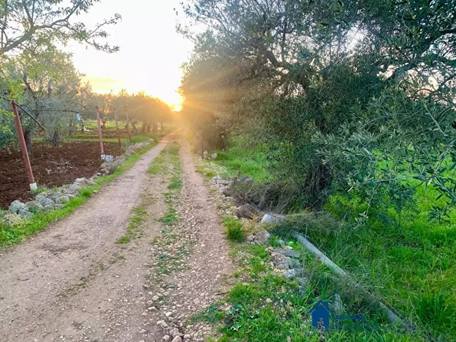 Immagine 5 di Terreno edificabile in vendita  a Cellamare
