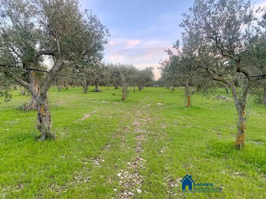 Immagine 1 di Terreno edificabile in vendita  a Cellamare