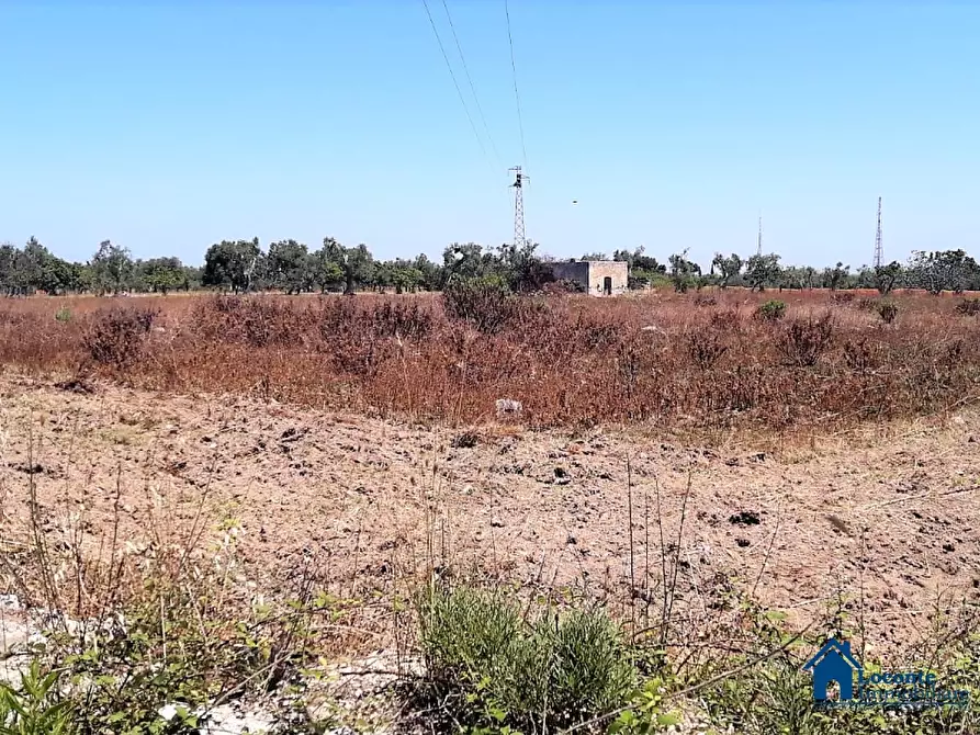 Immagine 5 di Terreno edificabile in vendita  a Bari