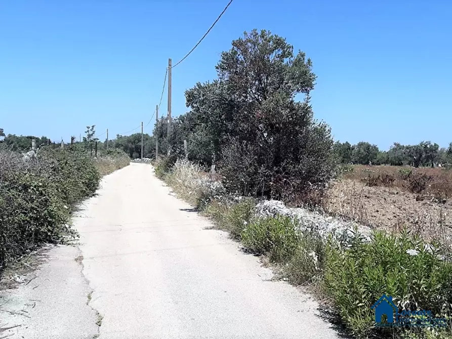 Immagine 4 di Terreno edificabile in vendita  a Bari