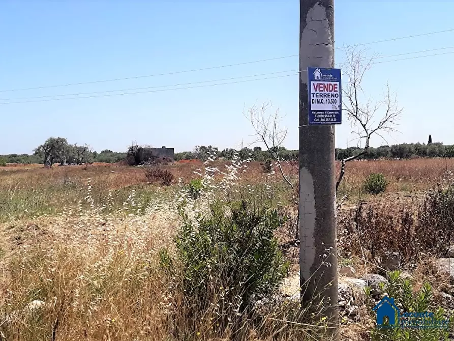 Immagine 3 di Terreno edificabile in vendita  a Bari