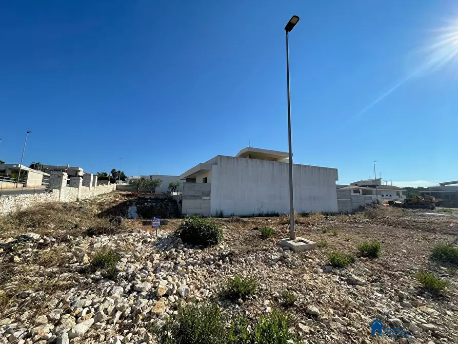 Immagine 2 di Terreno edificabile in vendita  a Cellamare