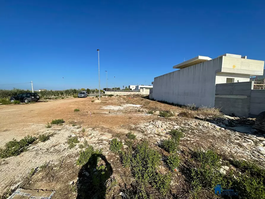Immagine 5 di Terreno edificabile in vendita  a Cellamare