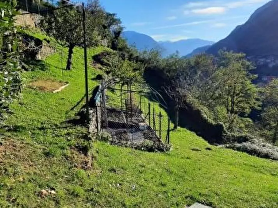Immagine 3 di Terreno edificabile in vendita  27/A a Cedegolo
