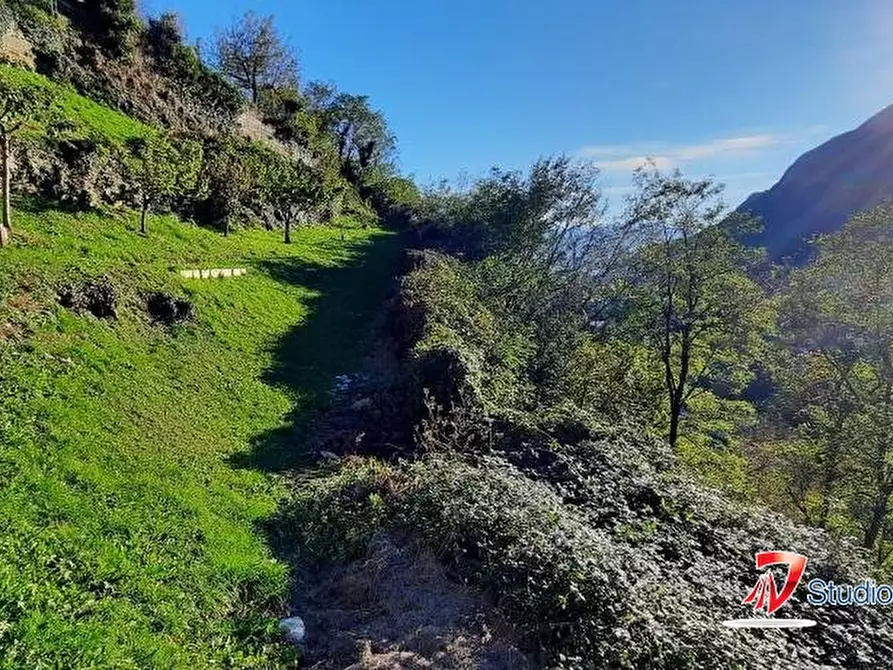 Immagine 2 di Terreno edificabile in vendita  27/A a Cedegolo