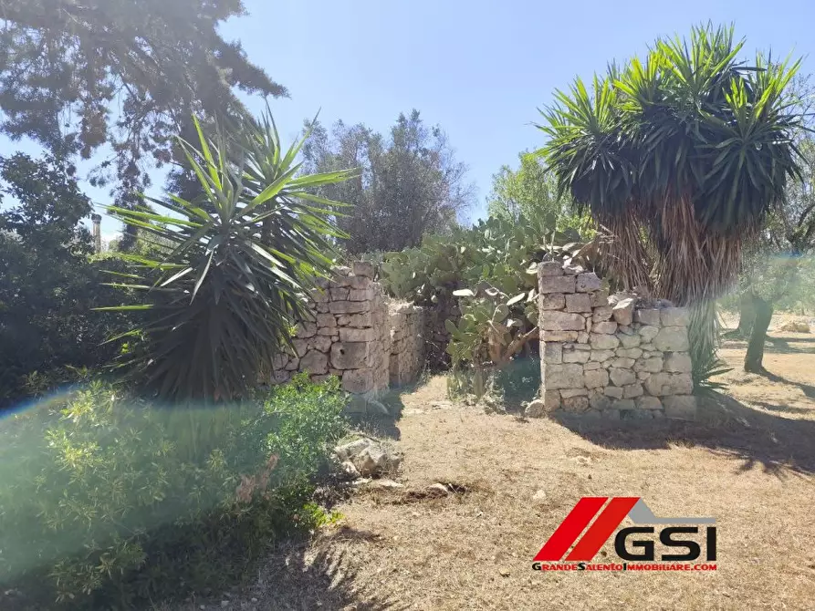 Immagine 9 di Terreno edificabile in vendita  SN a San Michele Salentino