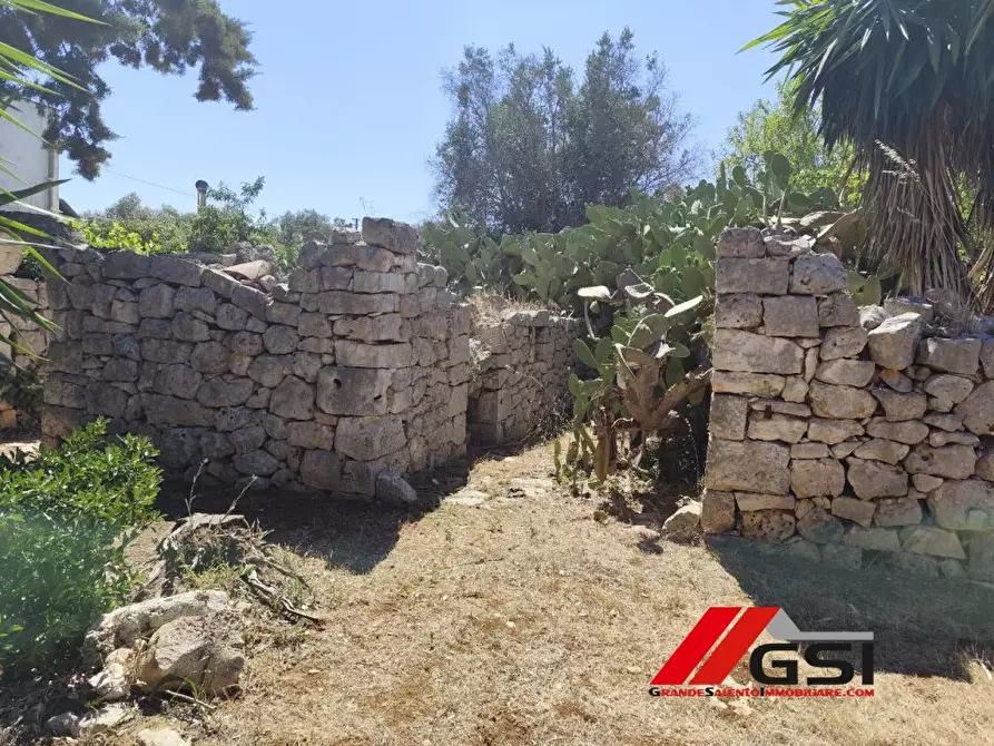 Immagine 10 di Terreno edificabile in vendita  SN a San Michele Salentino