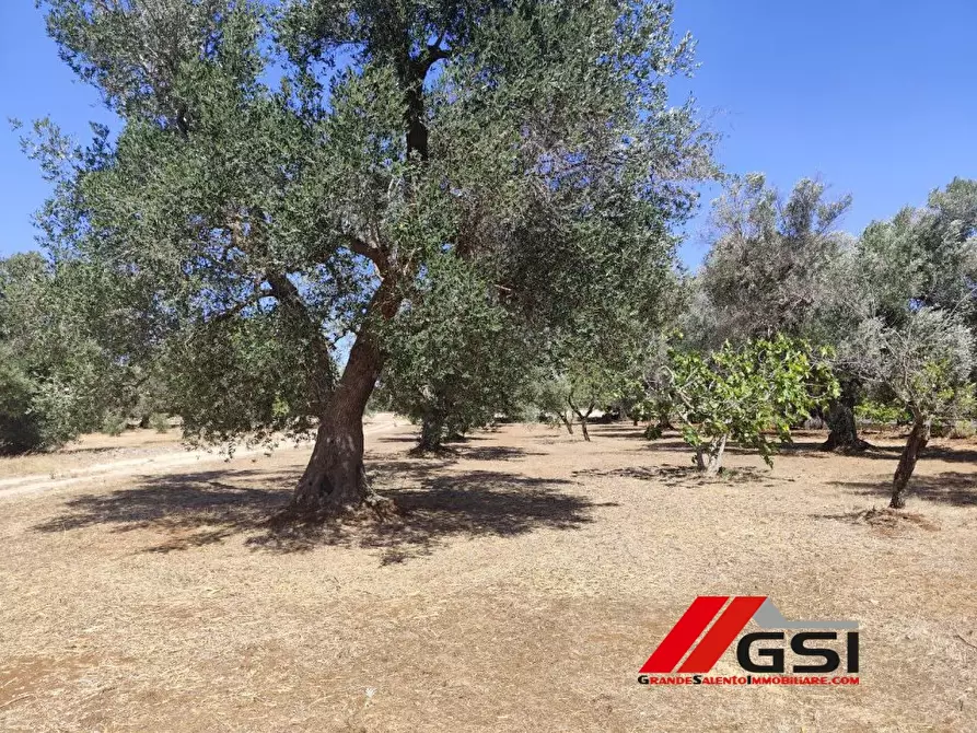 Immagine 8 di Terreno edificabile in vendita  SN a San Michele Salentino