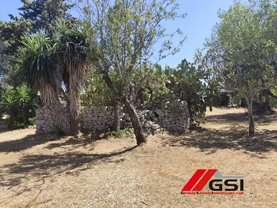 Immagine 7 di Terreno edificabile in vendita  SN a San Michele Salentino