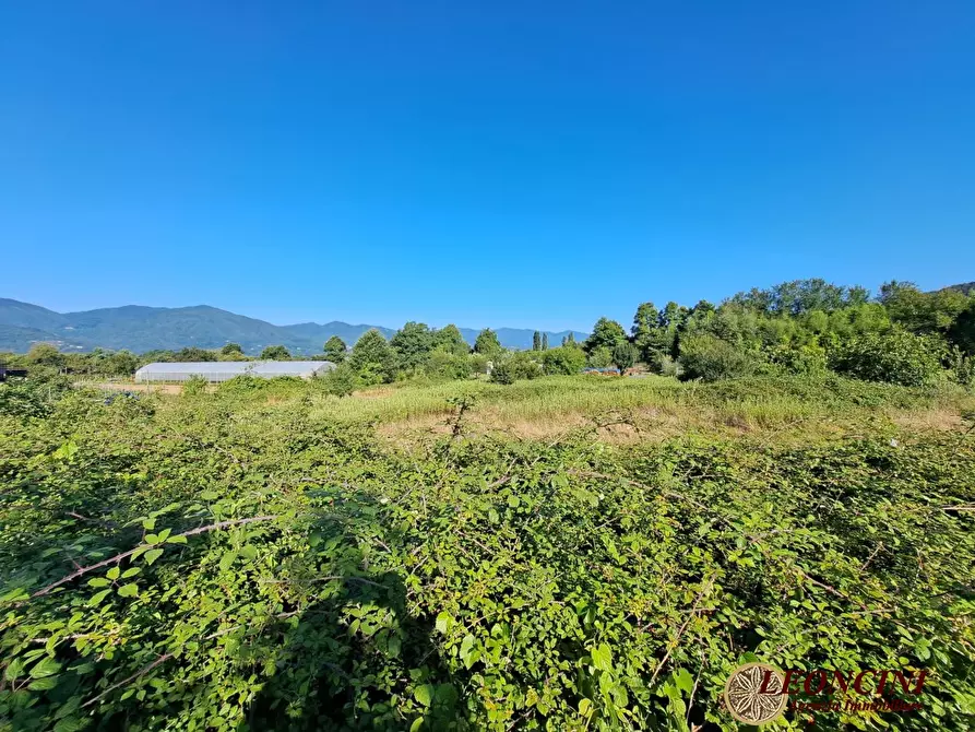 Immagine 7 di Terreno edificabile in vendita  22 a Villafranca In Lunigiana